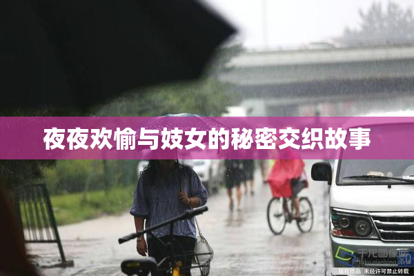 夜夜欢愉与妓女的秘密交织故事