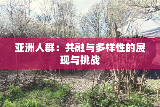 亚洲人群：共融与多样性的展现与挑战