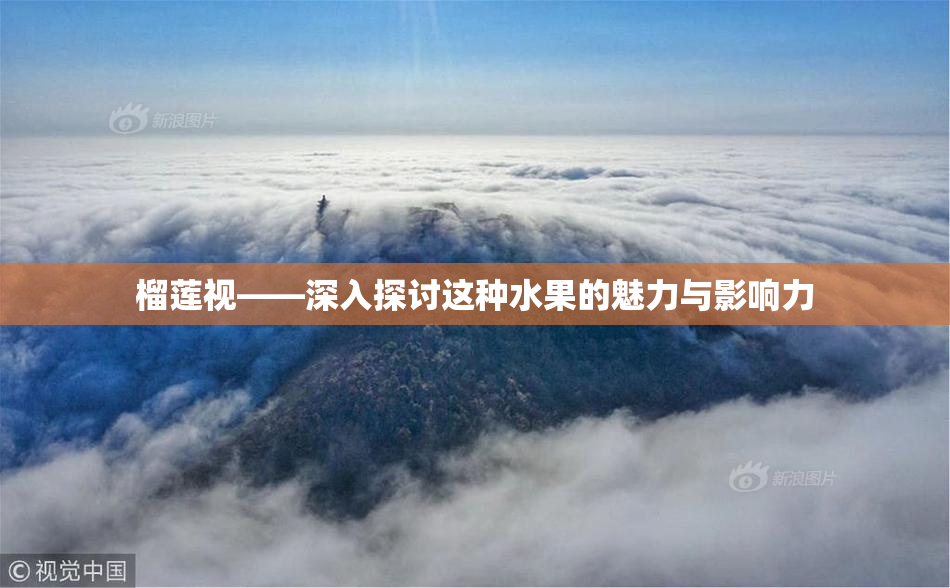 榴莲视——深入探讨这种水果的魅力与影响力