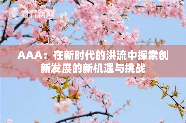 AAA：在新时代的洪流中探索创新发展的新机遇与挑战