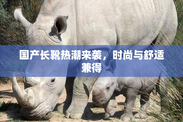 国产长靴热潮来袭，时尚与舒适兼得