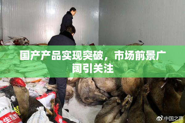 国产产品实现突破，市场前景广阔引关注