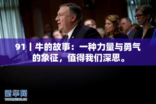 91丨牛的故事：一种力量与勇气的象征，值得我们深思。