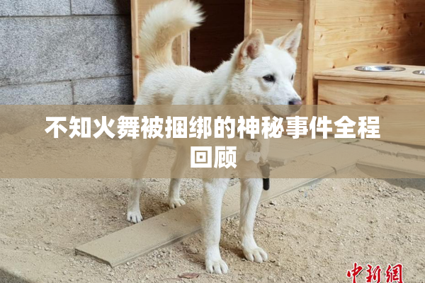 不知火舞被捆绑的神秘事件全程回顾