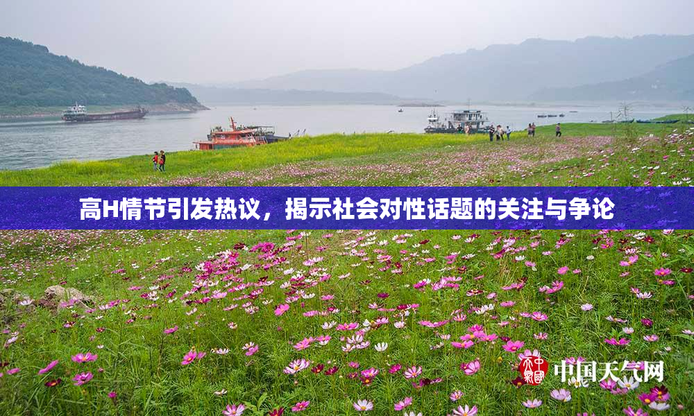 高H情节引发热议，揭示社会对性话题的关注与争论