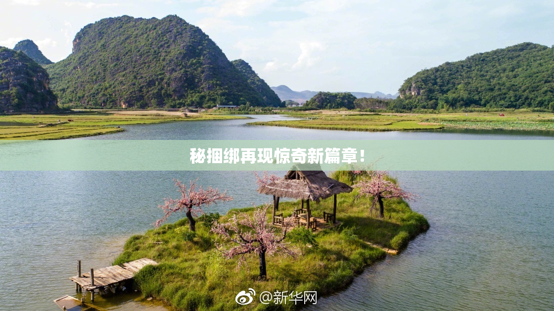 秘捆绑再现惊奇新篇章！