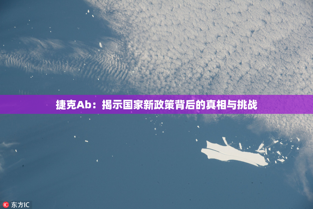 捷克Ab：揭示国家新政策背后的真相与挑战
