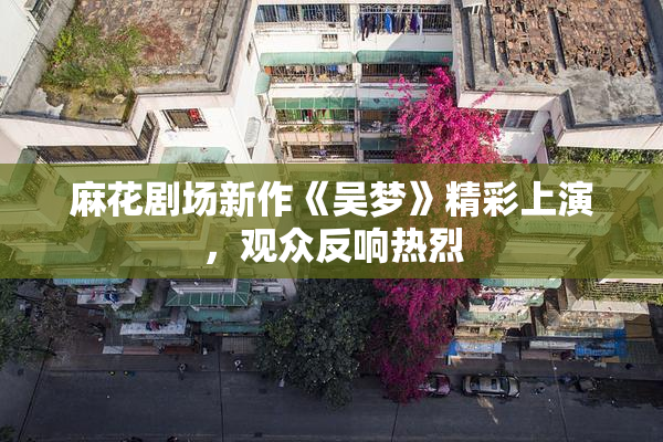 麻花剧场新作《吴梦》精彩上演，观众反响热烈