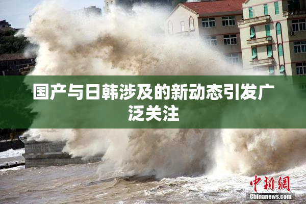 国产与日韩涉及的新动态引发广泛关注