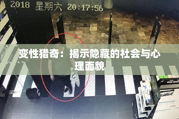 变性猎奇：揭示隐藏的社会与心理面貌