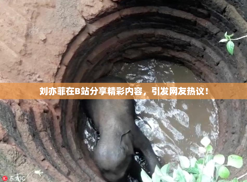 刘亦菲在B站分享精彩内容，引发网友热议！