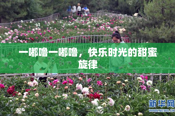 一嘟噜一嘟噜，快乐时光的甜蜜旋律