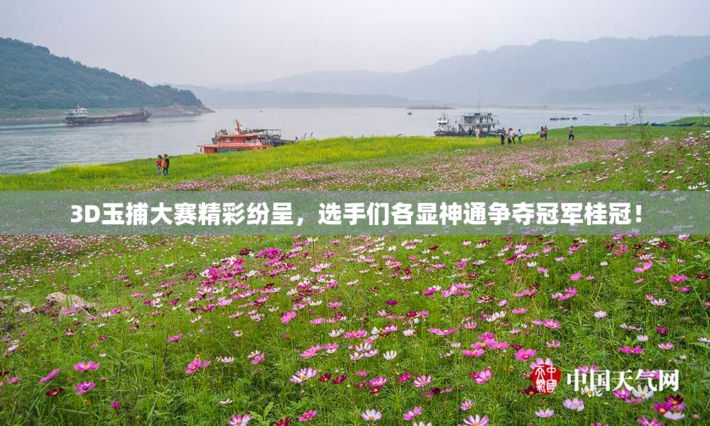 3D玉捕大赛精彩纷呈，选手们各显神通争夺冠军桂冠！