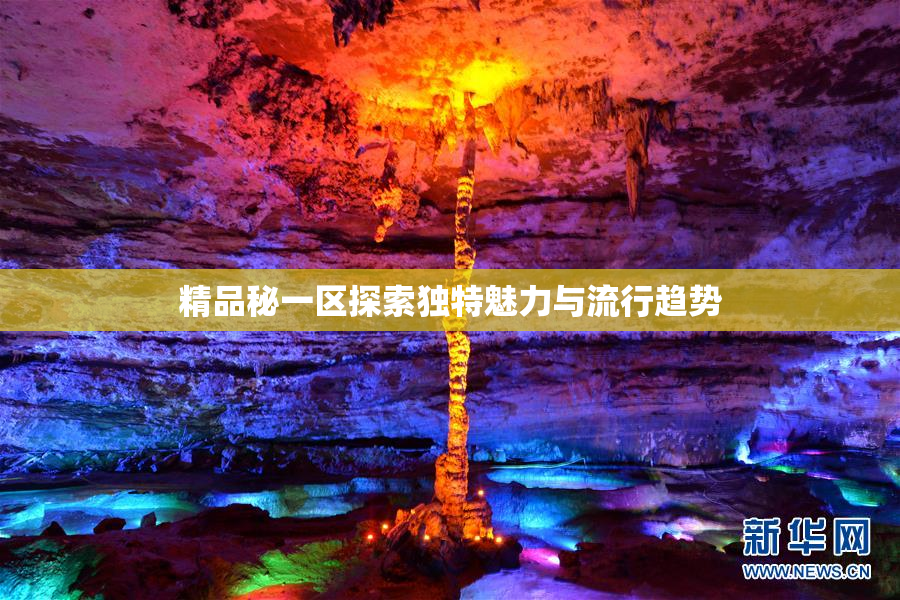 精品秘一区探索独特魅力与流行趋势