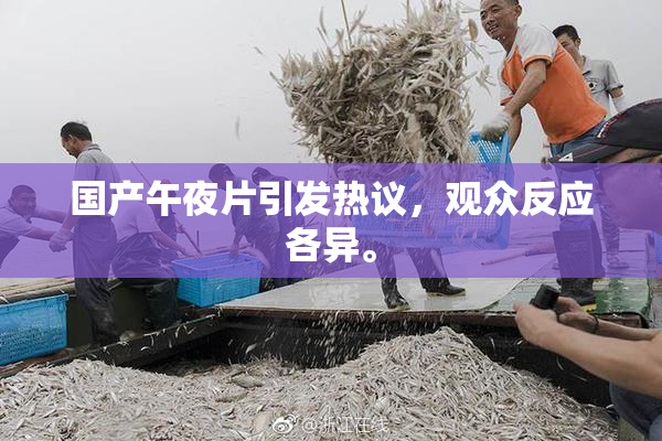 国产午夜片引发热议，观众反应各异。