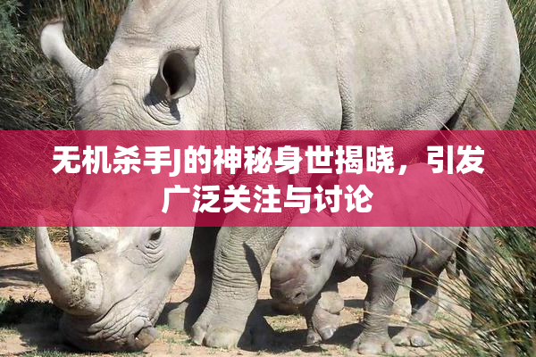 无机杀手J的神秘身世揭晓，引发广泛关注与讨论