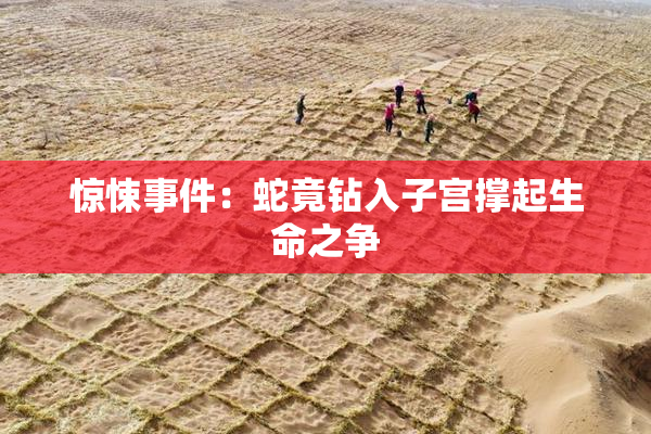 惊悚事件：蛇竟钻入子宫撑起生命之争