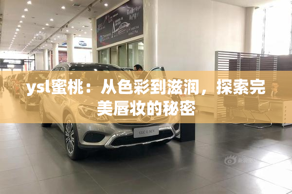ysl蜜桃：从色彩到滋润，探索完美唇妆的秘密