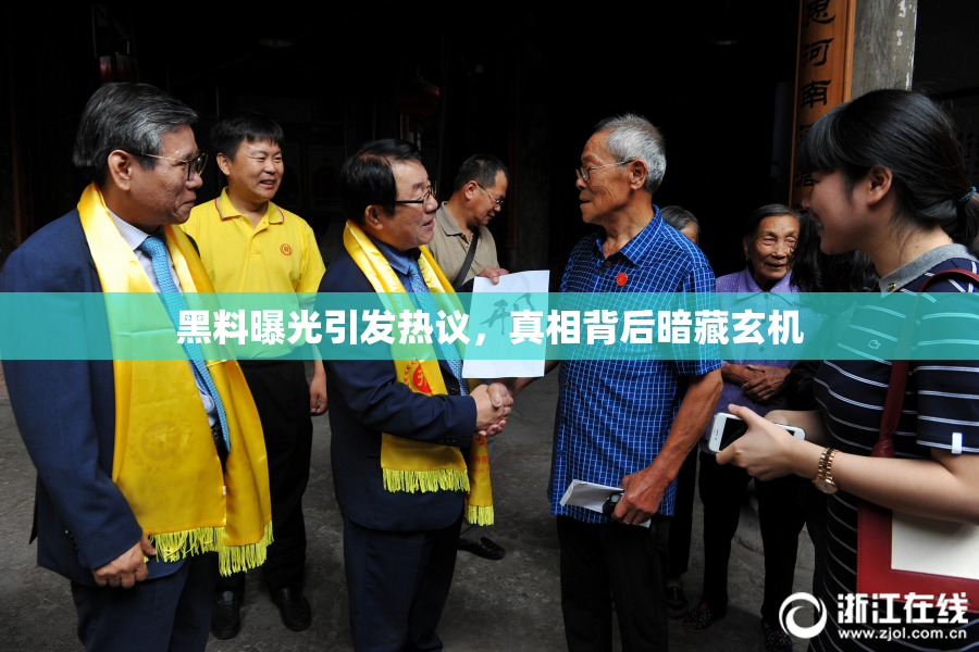 黑料曝光引发热议，真相背后暗藏玄机