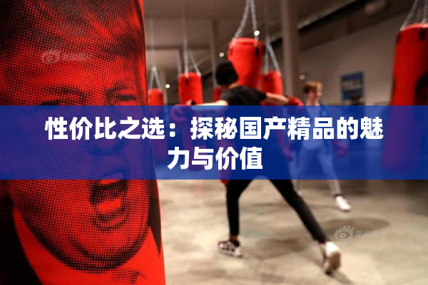 性价比之选：探秘国产精品的魅力与价值