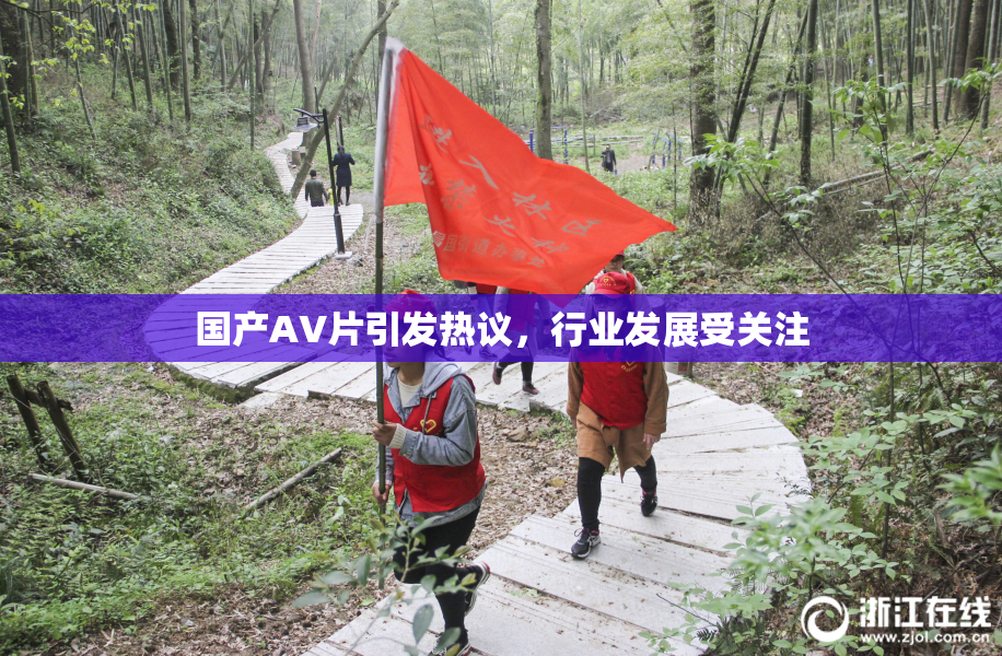 国产AV片引发热议，行业发展受关注