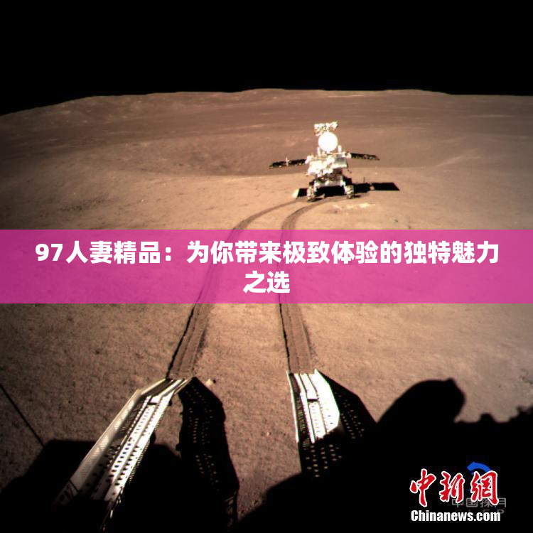 97人妻精品：为你带来极致体验的独特魅力之选
