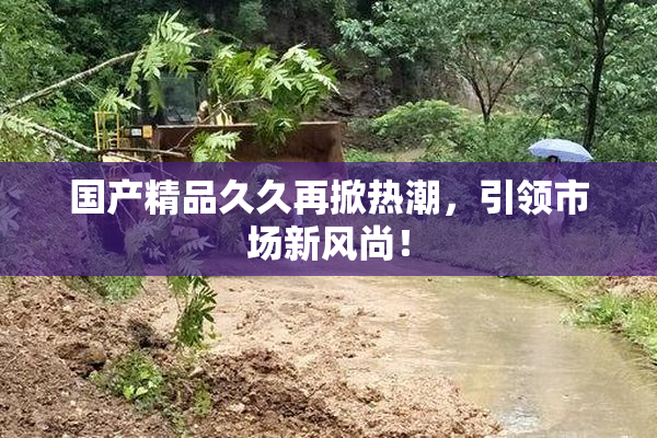 国产精品久久再掀热潮，引领市场新风尚！