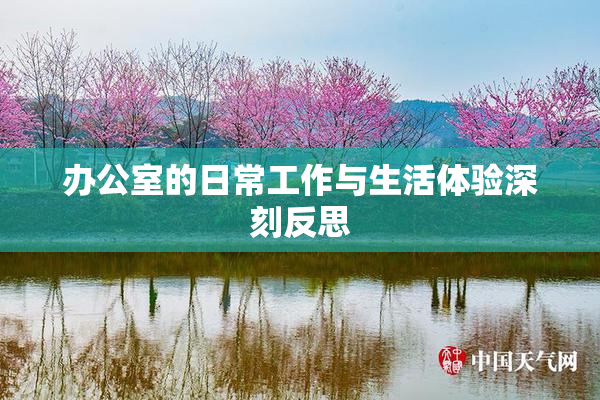 办公室的日常工作与生活体验深刻反思