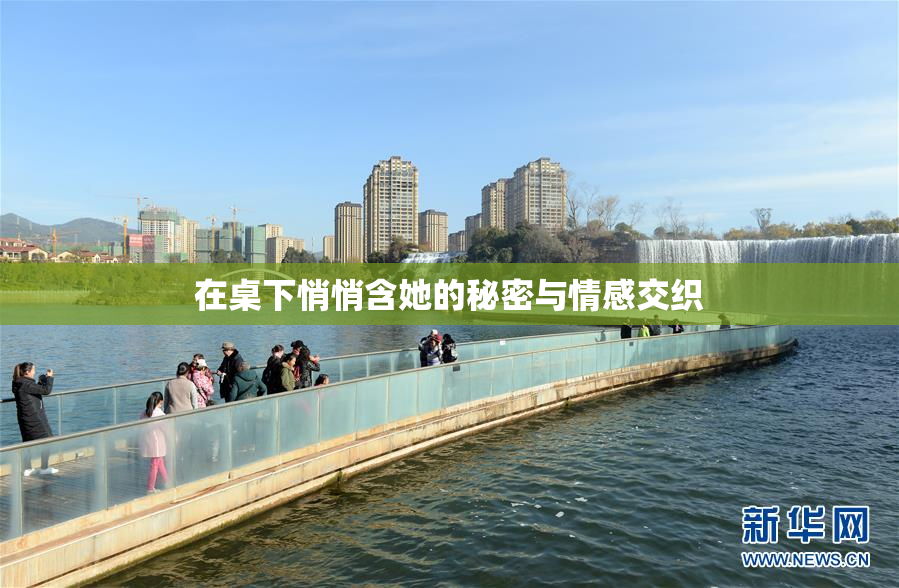 在桌下悄悄含她的秘密与情感交织