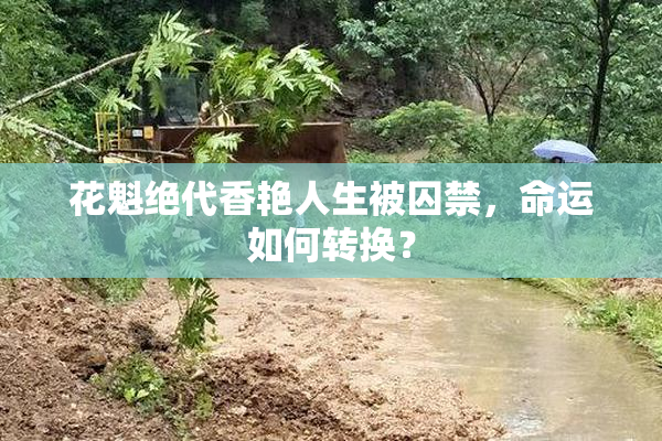 花魁绝代香艳人生被囚禁，命运如何转换？