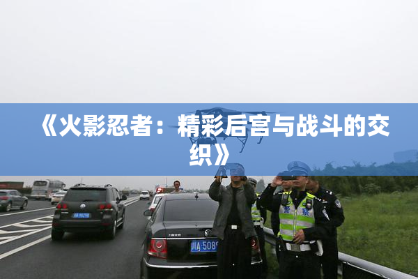 《火影忍者：精彩后宫与战斗的交织》