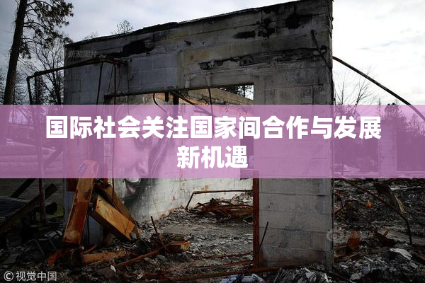 国际社会关注国家间合作与发展新机遇