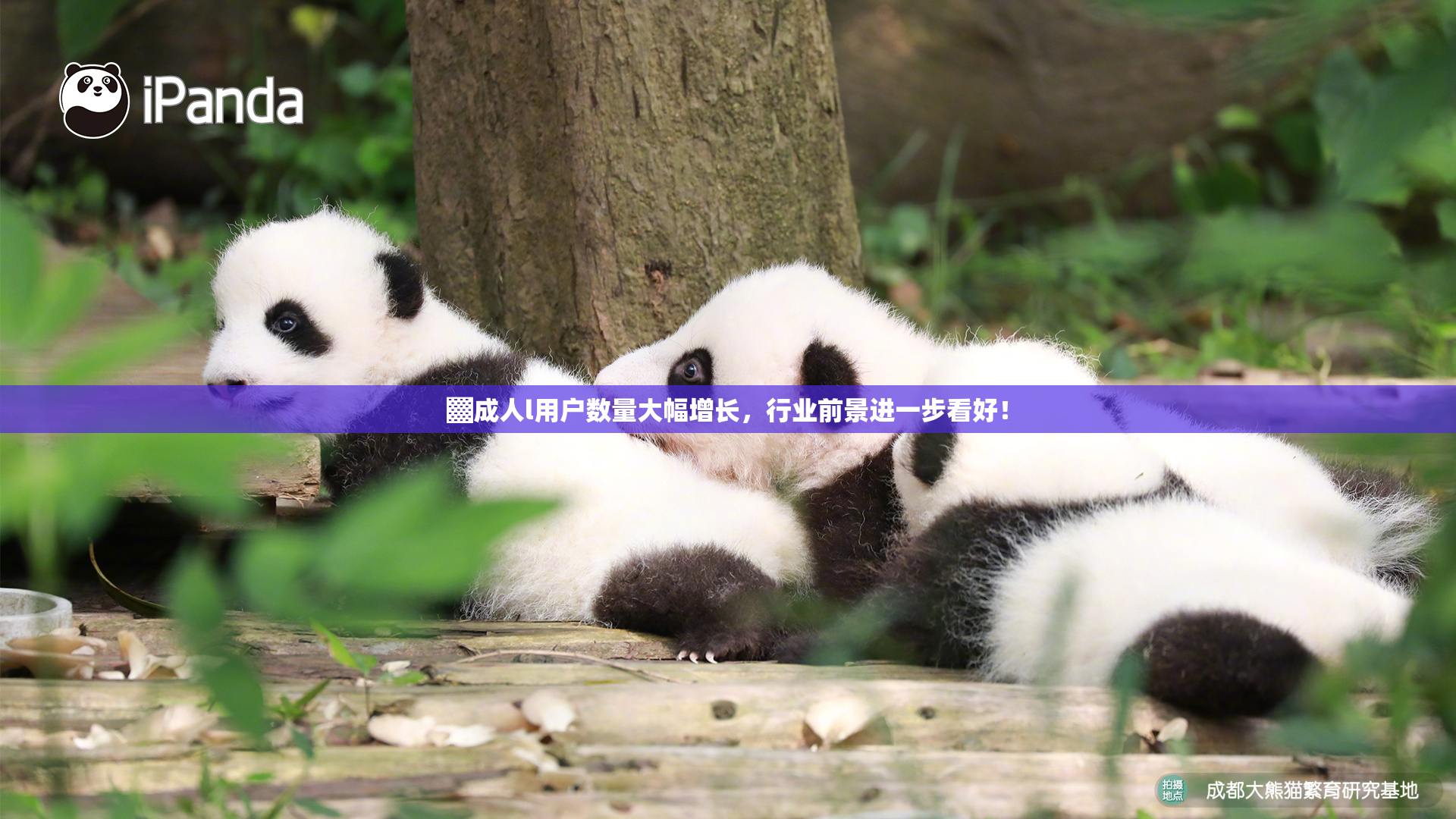 ▓成人l用户数量大幅增长，行业前景进一步看好！