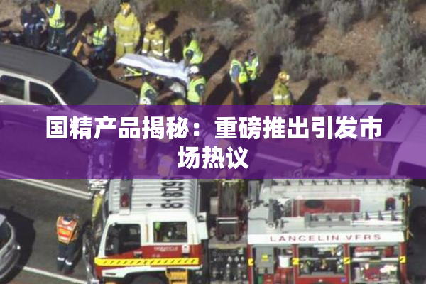 国精产品揭秘：重磅推出引发市场热议