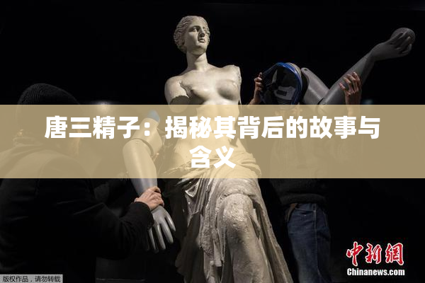 唐三精子：揭秘其背后的故事与含义