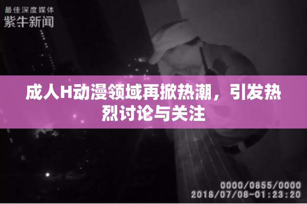 成人H动漫领域再掀热潮，引发热烈讨论与关注