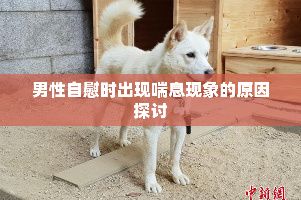 男性自慰时出现喘息现象的原因探讨