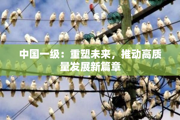 中国一级：重塑未来，推动高质量发展新篇章