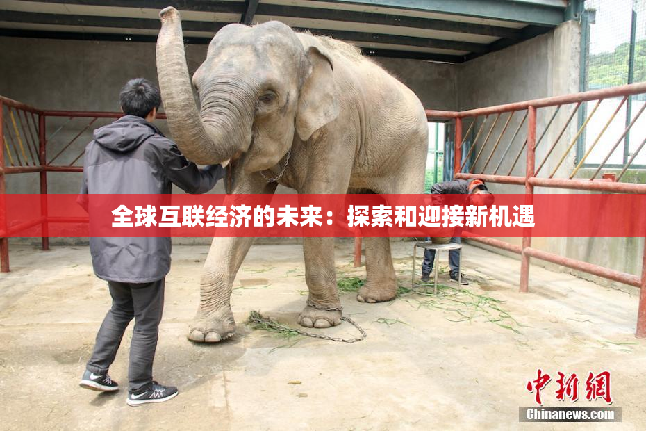 全球互联经济的未来：探索和迎接新机遇