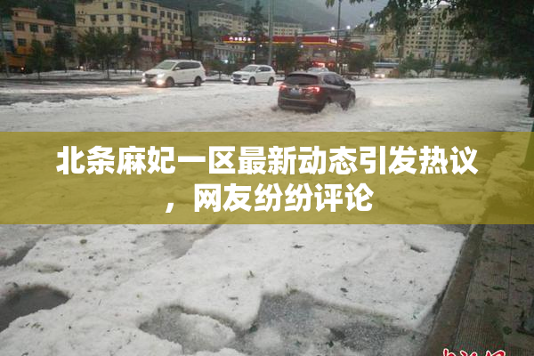 北条麻妃一区最新动态引发热议，网友纷纷评论