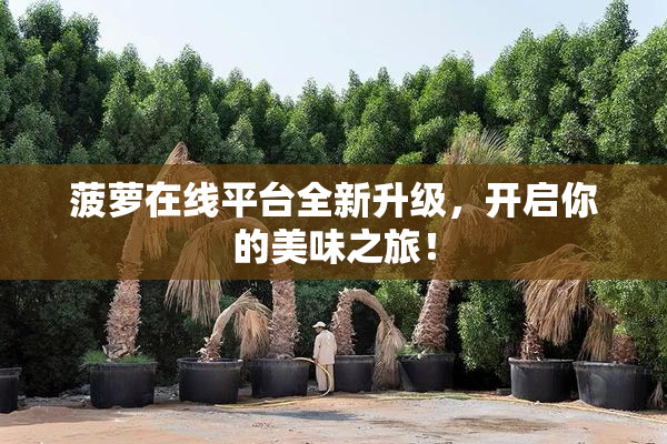 菠萝在线平台全新升级，开启你的美味之旅！