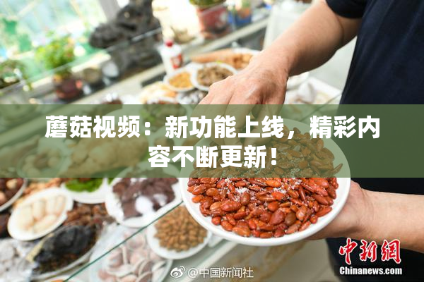 蘑菇视频：新功能上线，精彩内容不断更新！
