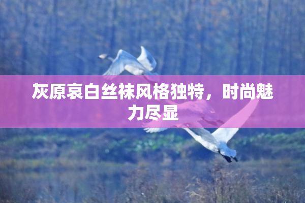 灰原哀白丝袜风格独特，时尚魅力尽显