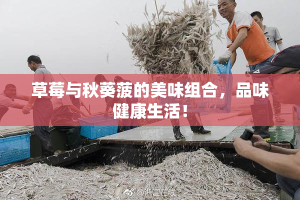 草莓与秋葵菠的美味组合，品味健康生活！