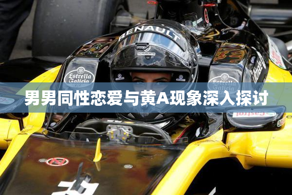 男男同性恋爱与黄A现象深入探讨
