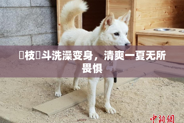 狛枝凪斗洗澡变身，清爽一夏无所畏惧