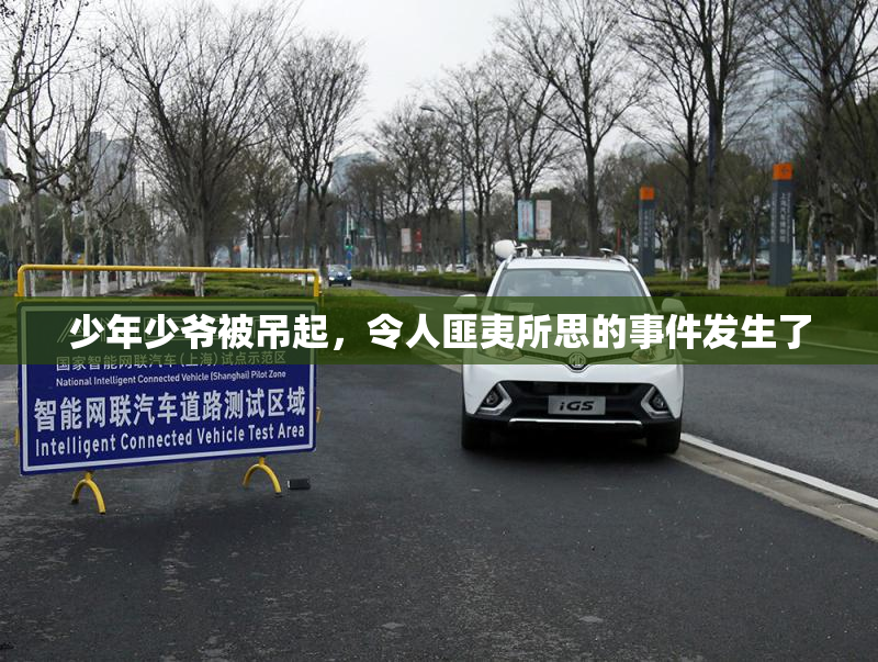 少年少爷被吊起，令人匪夷所思的事件发生了