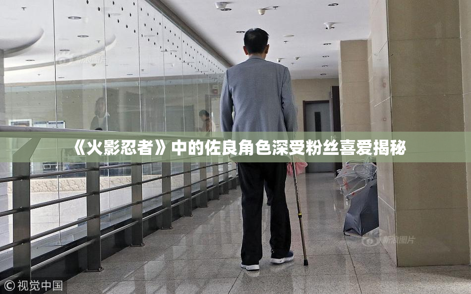 《火影忍者》中的佐良角色深受粉丝喜爱揭秘
