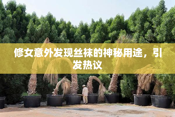 修女意外发现丝袜的神秘用途，引发热议