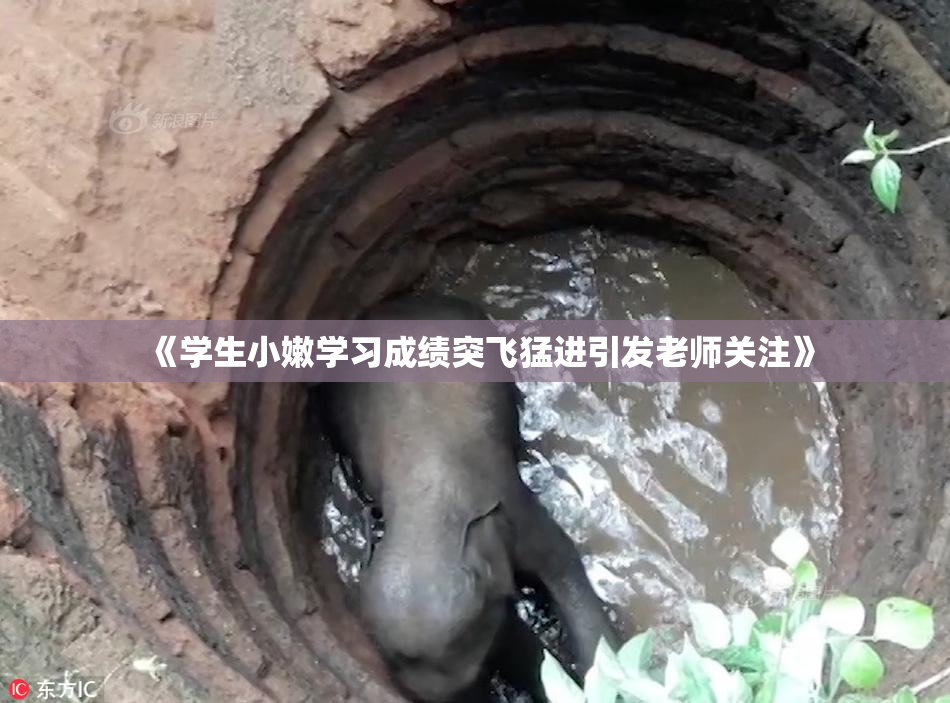 《学生小嫩学习成绩突飞猛进引发老师关注》